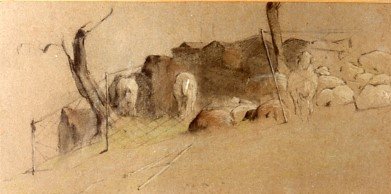 1907 - Recinto con pecore